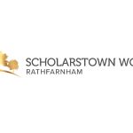 Vision Media Video Scholarstown wood